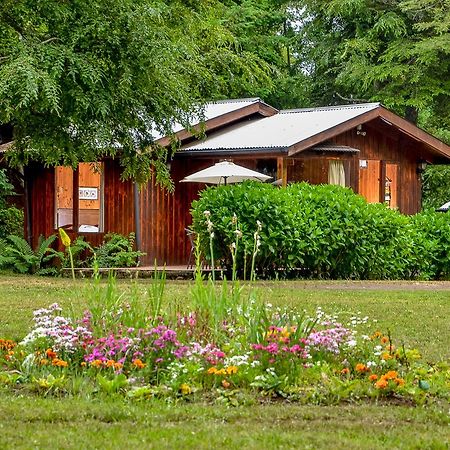 Cabanas Aylen Hotel Pucon Bagian luar foto