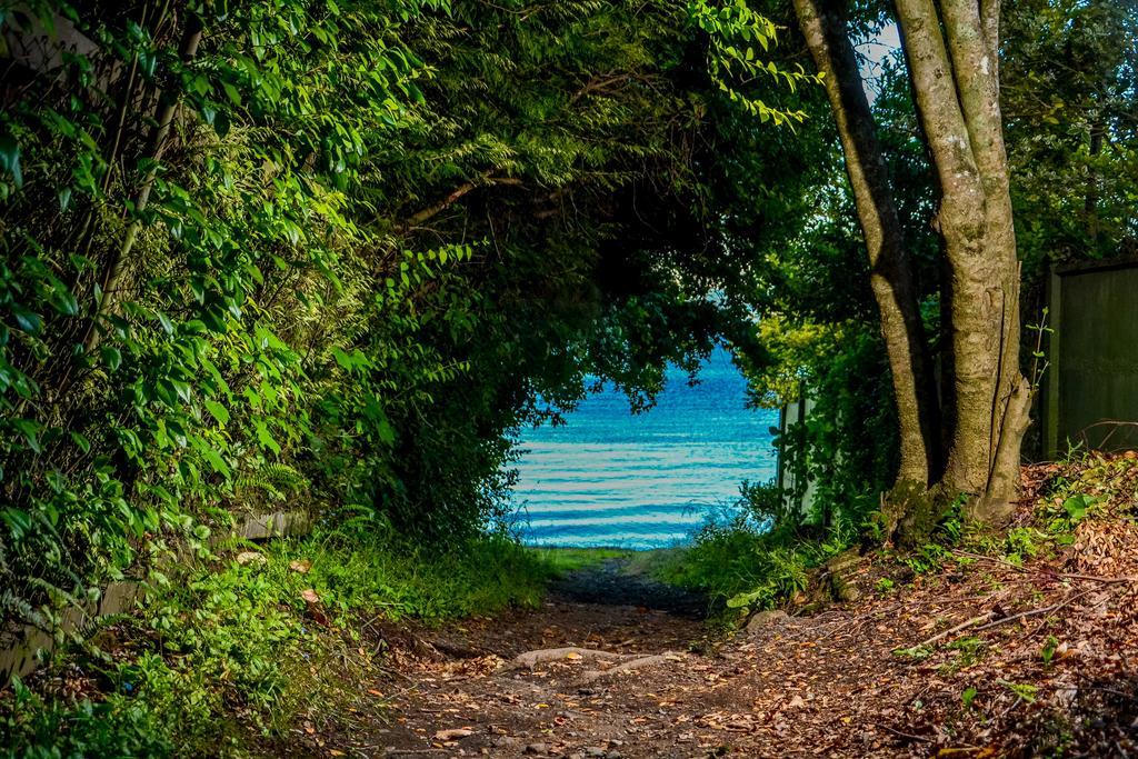 Cabanas Aylen Hotel Pucon Bagian luar foto