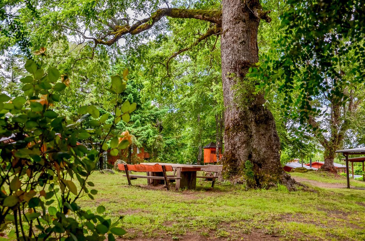Cabanas Aylen Hotel Pucon Bagian luar foto