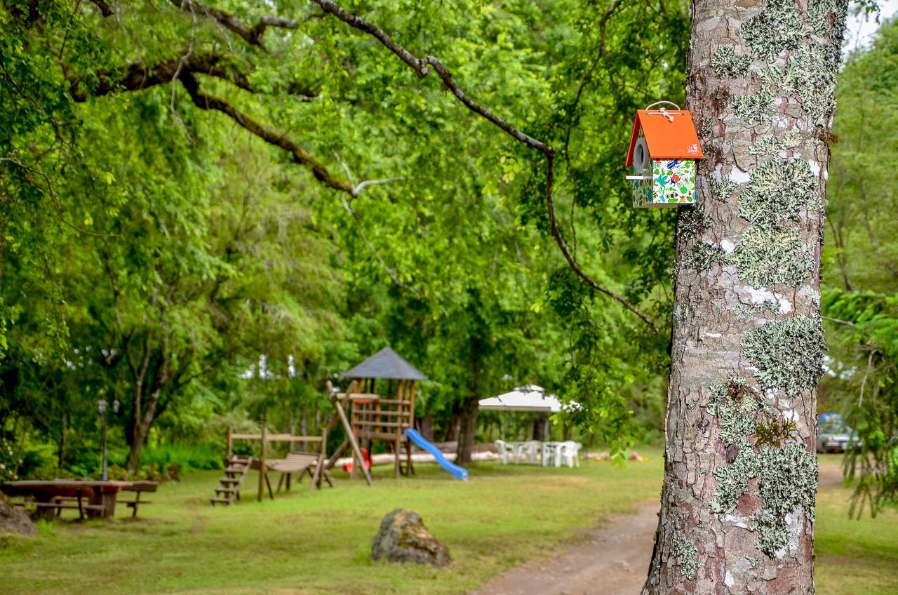Cabanas Aylen Hotel Pucon Bagian luar foto